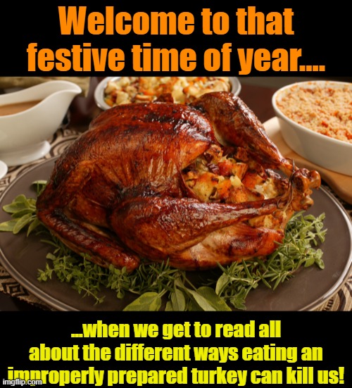 Thanksgiving Turkey | Welcome to that festive time of year.... ...when we get to read all about the different ways eating an improperly prepared turkey can kill us! | image tagged in thanksgiving turkey | made w/ Imgflip meme maker