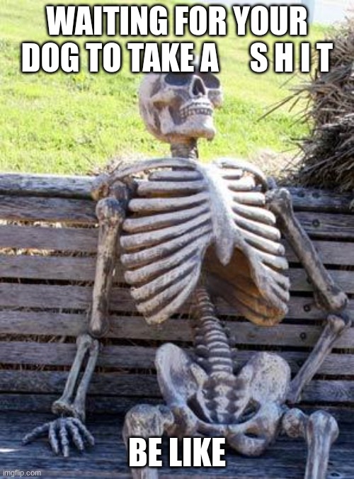 Waiting Skeleton | WAITING FOR YOUR DOG TO TAKE A     S H I T; BE LIKE | image tagged in memes,waiting skeleton | made w/ Imgflip meme maker