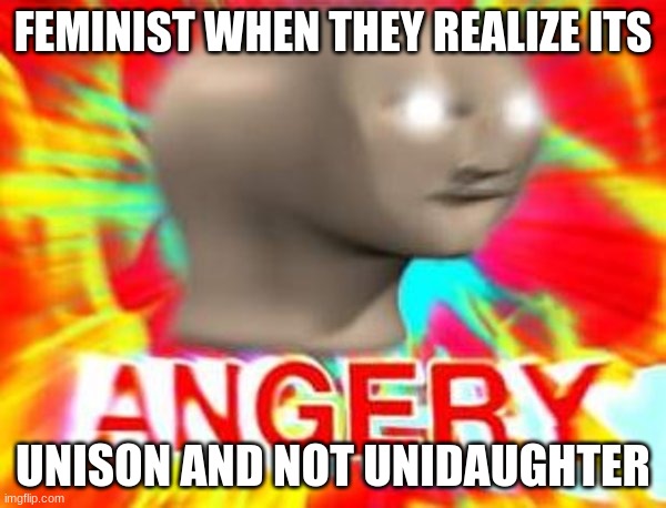 plz dont hate me | FEMINIST WHEN THEY REALIZE ITS; UNISON AND NOT UNIDAUGHTER | image tagged in surreal angery | made w/ Imgflip meme maker