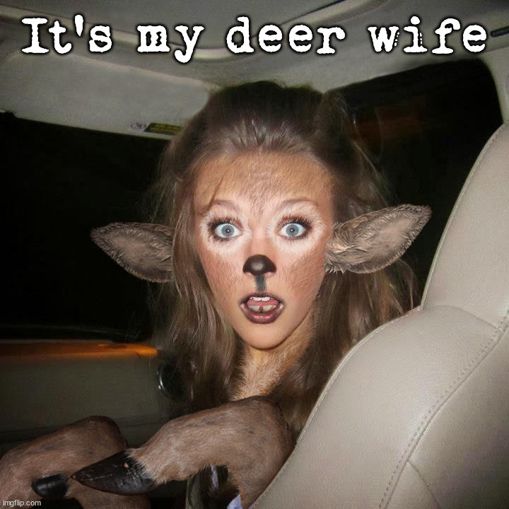 It's my deer wife | image tagged in cursed image | made w/ Imgflip meme maker