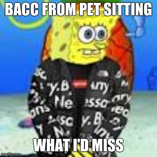 Spongebob Drip | BACC FROM PET SITTING; WHAT I'D MISS | image tagged in spongebob drip | made w/ Imgflip meme maker