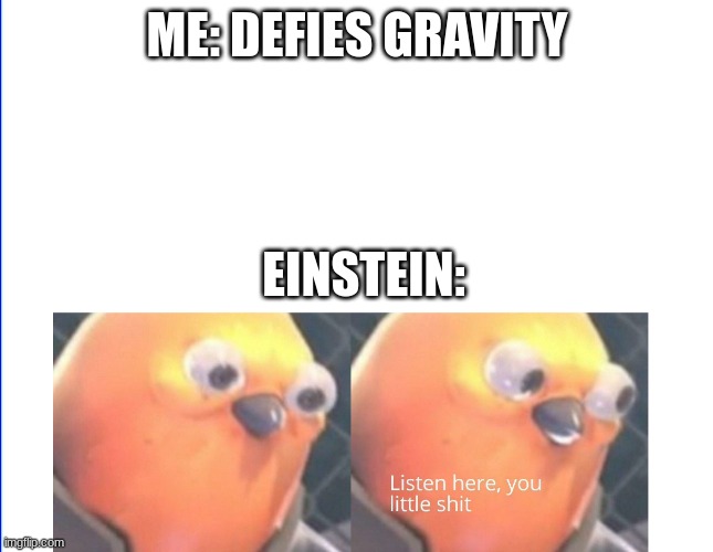 Einstein is mad. |  ME: DEFIES GRAVITY; EINSTEIN: | image tagged in listen here you little shit | made w/ Imgflip meme maker