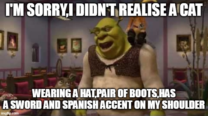 Sorry,I ddin't realise that | I'M SORRY,I DIDN'T REALISE A CAT; WEARING A HAT,PAIR OF BOOTS,HAS A SWORD AND SPANISH ACCENT ON MY SHOULDER | image tagged in they don't even have dental | made w/ Imgflip meme maker