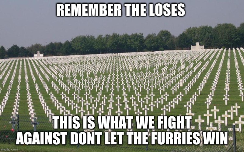remember | REMEMBER THE LOSES; THIS IS WHAT WE FIGHT AGAINST DONT LET THE FURRIES WIN | image tagged in ww2 graves | made w/ Imgflip meme maker