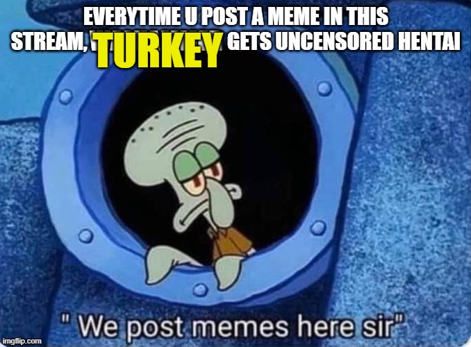 https://imgflip.com/m/MMMMMEEEEMMMEEESS | TURKEY | made w/ Imgflip meme maker