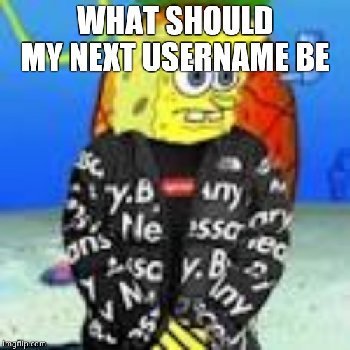 ( mod note: VillainousHater ) | WHAT SHOULD MY NEXT USERNAME BE | image tagged in spongebob drip | made w/ Imgflip meme maker