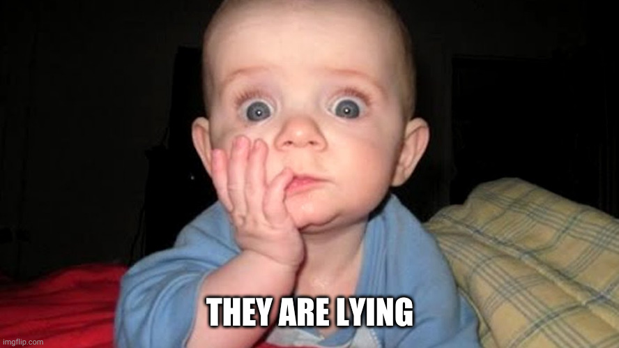 surprised baby | THEY ARE LYING | image tagged in surprised baby | made w/ Imgflip meme maker