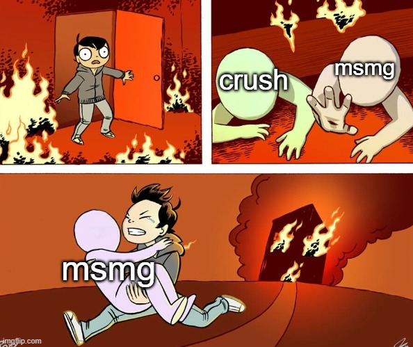 House fire | msmg; crush; msmg | image tagged in house fire | made w/ Imgflip meme maker