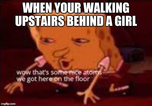 :/ |  WHEN YOUR WALKING UPSTAIRS BEHIND A GIRL | image tagged in atoms on the floor | made w/ Imgflip meme maker