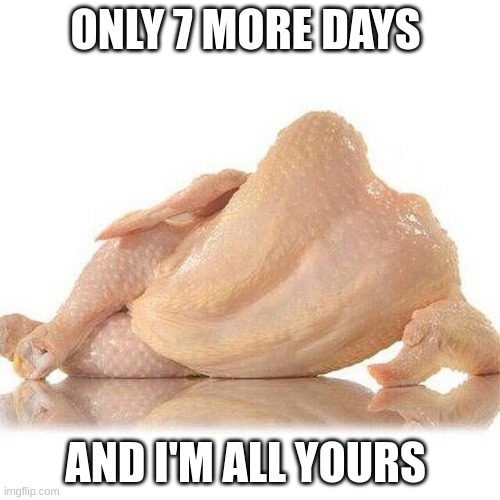  ONLY 7 MORE DAYS; AND I'M ALL YOURS | image tagged in foxy turkey | made w/ Imgflip meme maker