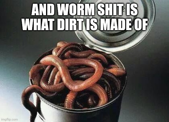 This is what dirt is made of | AND WORM SHIT IS WHAT DIRT IS MADE OF | image tagged in can of worms,memes | made w/ Imgflip meme maker