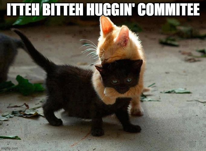 Itteh bitten huggin' commitee | ITTEH BITTEH HUGGIN' COMMITEE | image tagged in kitten hug,woah kitty,what can i say except aaaaaaaaaaa | made w/ Imgflip meme maker