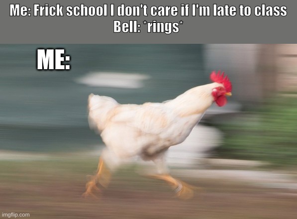 Facts | Me: Frick school I don't care if I'm late to class
Bell: *rings*; ME: | image tagged in rooster,school meme | made w/ Imgflip meme maker