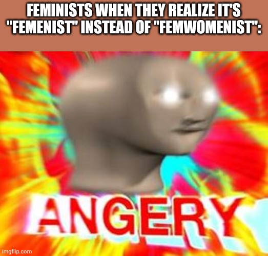 idk | FEMINISTS WHEN THEY REALIZE IT'S "FEMENIST" INSTEAD OF "FEMWOMENIST": | image tagged in surreal angery | made w/ Imgflip meme maker