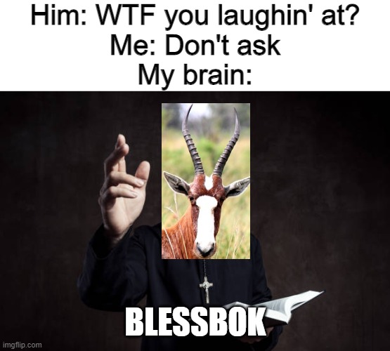 Church of Holy Antelope | Him: WTF you laughin' at?
Me: Don't ask
My brain:; BLESSBOK | image tagged in memes,puns,teacher what are you laughing at | made w/ Imgflip meme maker