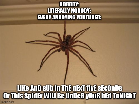 Scumbag Spider | NOBODY:
LITERALLY NOBODY:
EVERY ANNOYING YOUTUBER:; LiKe AnD sUb In ThE nExT fIvE sEcOnDs Or ThIs SpIdEr WiLl Be UnDeR yOuR bEd ToNiGhT | image tagged in scumbag spider | made w/ Imgflip meme maker