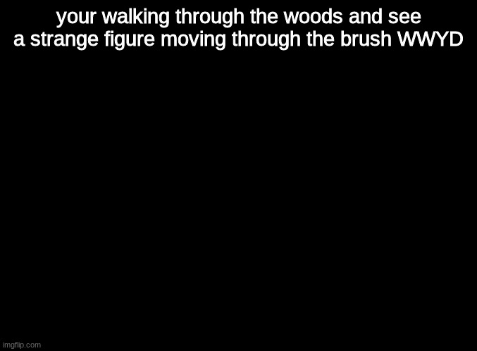 WWYD | your walking through the woods and see a strange figure moving through the brush WWYD | image tagged in blank black,roleplaying | made w/ Imgflip meme maker