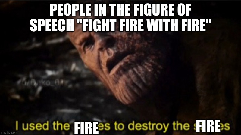 fight fire with fire | PEOPLE IN THE FIGURE OF SPEECH "FIGHT FIRE WITH FIRE"; FIRE; FIRE | image tagged in thanos i used the stones to destroy the stones | made w/ Imgflip meme maker