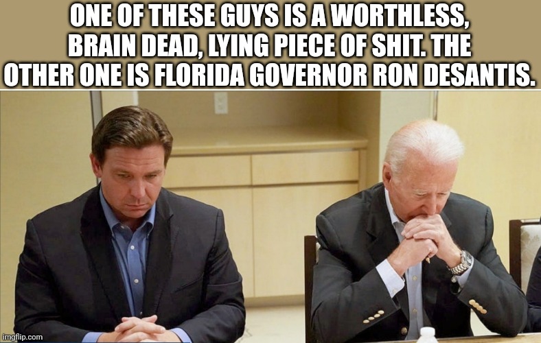 Which one | ONE OF THESE GUYS IS A WORTHLESS, BRAIN DEAD, LYING PIECE OF SHIT. THE OTHER ONE IS FLORIDA GOVERNOR RON DESANTIS. | image tagged in desantis,fuck joe biden,biden sucks,worst president in history,go brandon | made w/ Imgflip meme maker