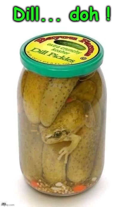 Dill Pickles | Dill... doh ! | image tagged in doh | made w/ Imgflip meme maker