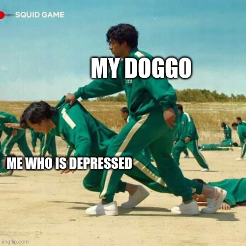 Squid Game | MY DOGGO; ME WHO IS DEPRESSED | image tagged in squid game | made w/ Imgflip meme maker