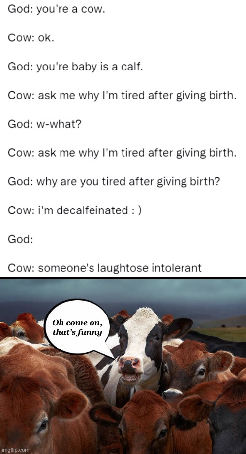 God Creating a Cow | Oh come on, that’s funny | image tagged in funny memes,dad jokes,eyeroll | made w/ Imgflip meme maker