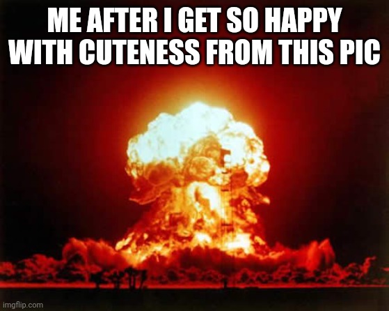 Nuclear Explosion Meme | ME AFTER I GET SO HAPPY WITH CUTENESS FROM THIS PIC | image tagged in memes,nuclear explosion | made w/ Imgflip meme maker