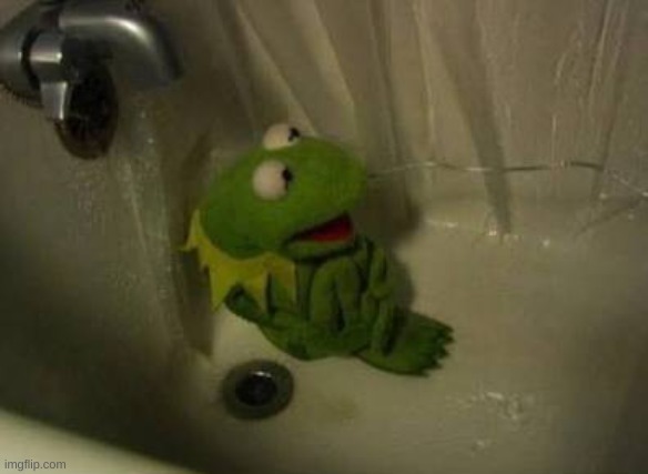 Kermit Shower | image tagged in kermit shower | made w/ Imgflip meme maker