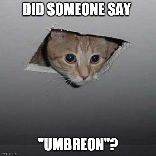 Ceiling Cat | DID SOMEONE SAY; "UMBREON"? | image tagged in memes,ceiling cat | made w/ Imgflip meme maker