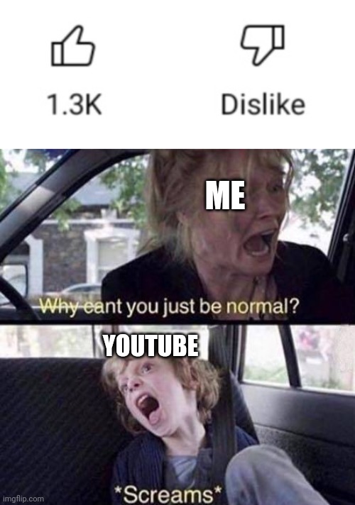 No more dislike counters. RIP YT | ME; YOUTUBE | image tagged in why can't you just be normal,youtube | made w/ Imgflip meme maker