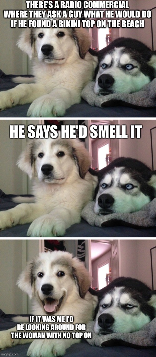 Bad pun dogs | THERE’S A RADIO COMMERCIAL WHERE THEY ASK A GUY WHAT HE WOULD DO IF HE FOUND A BIKINI TOP ON THE BEACH; HE SAYS HE’D SMELL IT; IF IT WAS ME I’D BE LOOKING AROUND FOR THE WOMAN WITH NO TOP ON | image tagged in bad pun dogs | made w/ Imgflip meme maker