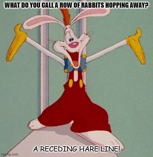 Daily Bad Dad Joke Nov 18 2021 | WHAT DO YOU CALL A ROW OF RABBITS HOPPING AWAY? A RECEDING HARE LINE! | image tagged in roger rabbit | made w/ Imgflip meme maker