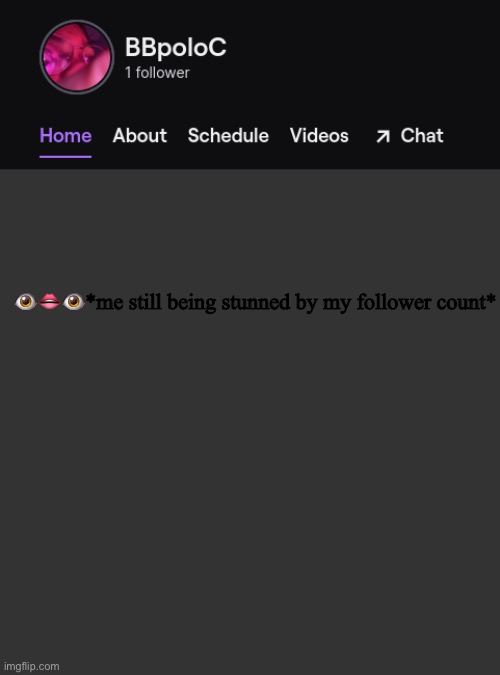 Twitch template | 👁👄👁*me still being stunned by my follower count* | image tagged in twitch template | made w/ Imgflip meme maker