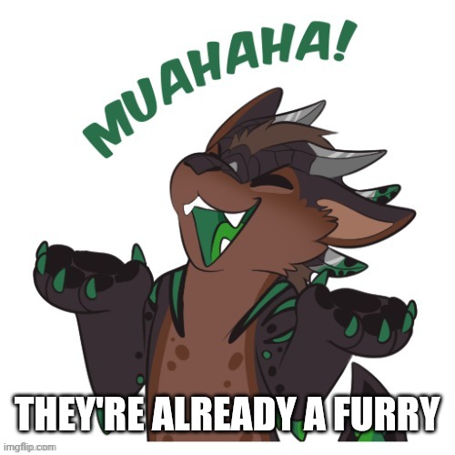 Furry Laughing | THEY'RE ALREADY A FURRY | image tagged in furry laughing | made w/ Imgflip meme maker