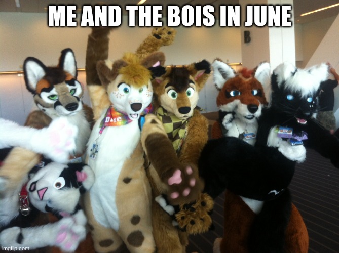 Furries | ME AND THE BOIS IN JUNE | image tagged in furries,furry,furry memes,the furry fandom | made w/ Imgflip meme maker