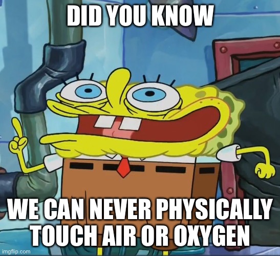 did you know.... |  DID YOU KNOW; WE CAN NEVER PHYSICALLY TOUCH AIR OR OXYGEN | image tagged in did you know | made w/ Imgflip meme maker