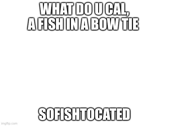 Dad joke 6 | WHAT DO U CAL, A FISH IN A BOW TIE; SOFISHTOCATED | image tagged in blank white template | made w/ Imgflip meme maker