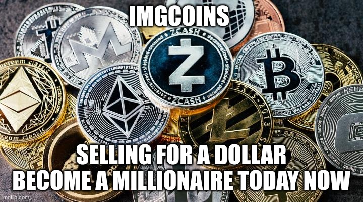 ik what ima do im investing in crypto | IMGCOINS; SELLING FOR A DOLLAR BECOME A MILLIONAIRE TODAY NOW | image tagged in crypto | made w/ Imgflip meme maker