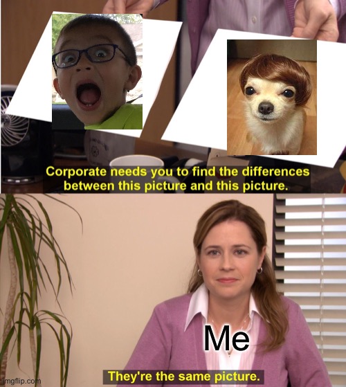 No difference what so ever. | Me | image tagged in memes,they're the same picture | made w/ Imgflip meme maker