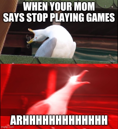 Screaming bird | WHEN YOUR MOM SAYS STOP PLAYING GAMES; ARHHHHHHHHHHHHH | image tagged in screaming bird | made w/ Imgflip meme maker