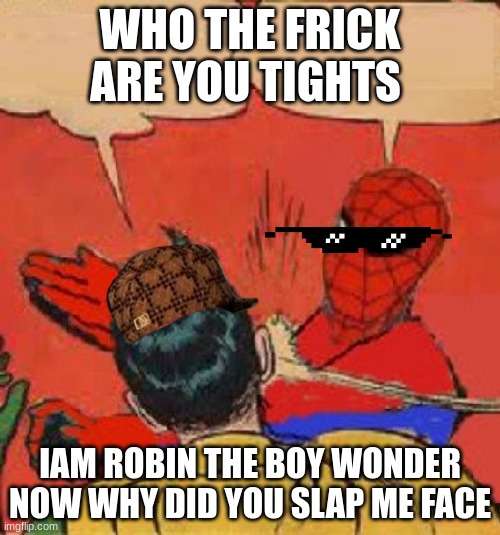Spiderman Slapping Robin | WHO THE FRICK ARE YOU TIGHTS; IAM ROBIN THE BOY WONDER NOW WHY DID YOU SLAP ME FACE | image tagged in spiderman slapping robin | made w/ Imgflip meme maker