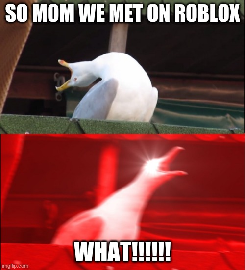 Screaming bird | SO MOM WE MET ON ROBLOX; WHAT!!!!!! | image tagged in screaming bird | made w/ Imgflip meme maker