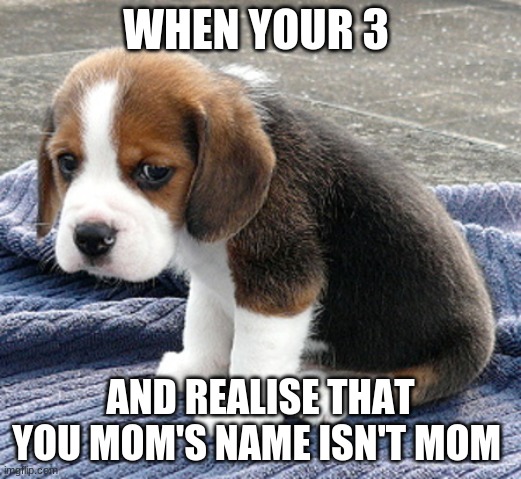 sad dog |  WHEN YOUR 3; AND REALISE THAT YOU MOM'S NAME ISN'T MOM | image tagged in sad dog | made w/ Imgflip meme maker