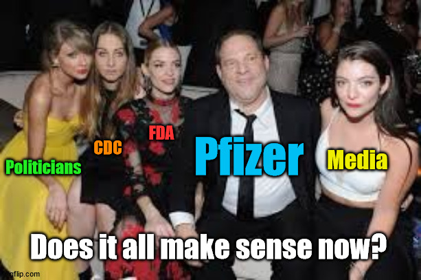 Process flow chart for how our public health decisions are made | FDA; Pfizer; CDC; Politicians; Media; Does it all make sense now? | image tagged in pfizer | made w/ Imgflip meme maker
