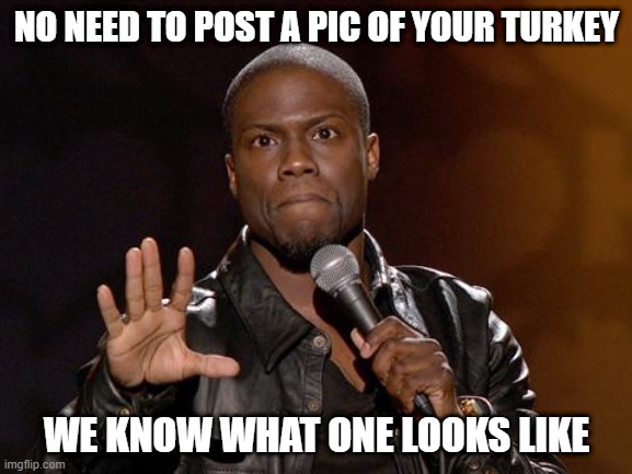 Yeah...we know! | NO NEED TO POST A PIC OF YOUR TURKEY; WE KNOW WHAT ONE LOOKS LIKE | image tagged in kevin hart | made w/ Imgflip meme maker