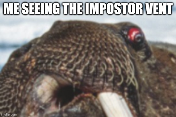 ......... | ME SEEING THE IMPOSTOR VENT | image tagged in memes | made w/ Imgflip meme maker
