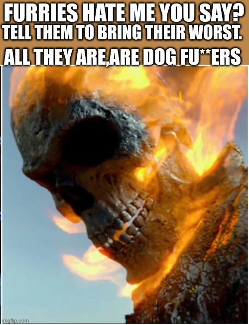 Tell them to come this way. | TELL THEM TO BRING THEIR WORST. FURRIES HATE ME YOU SAY? ALL THEY ARE,ARE DOG FU**ERS | image tagged in ghost rider | made w/ Imgflip meme maker