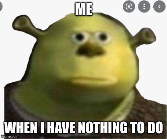 wow | ME; WHEN I HAVE NOTHING TO DO | image tagged in wow | made w/ Imgflip meme maker