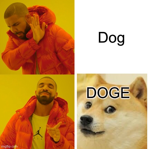 Drake Hotline Bling | Dog; DOGE | image tagged in memes,drake hotline bling | made w/ Imgflip meme maker