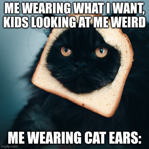 Cat ears go BRRR | ME WEARING WHAT I WANT, KIDS LOOKING AT ME WEIRD; ME WEARING CAT EARS: | image tagged in cat | made w/ Imgflip meme maker